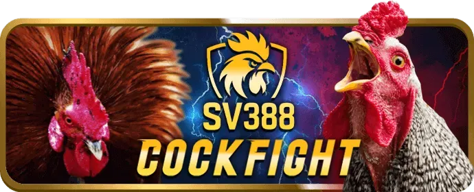 Chương trình VIP cado888